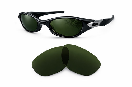 Newpolar polarized replacement - newpolar,