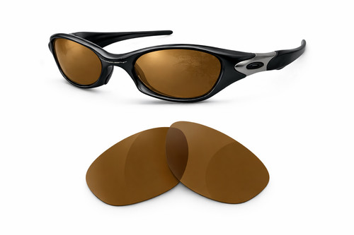 Newpolar polarized replacement - polarized,